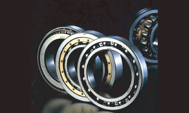 top manufacturer of a range of Ball and Roller Bearings for various Industrial Segments